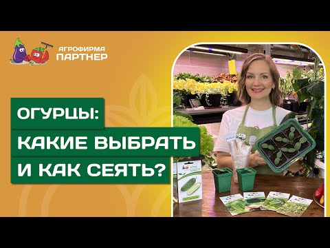 СЕКРЕТЫ ОГУРЕЧНОГО УСПЕХА // Выбор гибридов и легкие способы посева