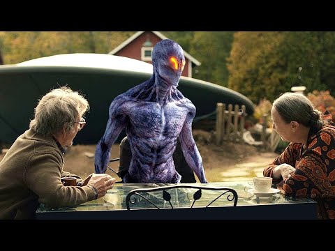 The Alien Fallen From The Sky Demanded 6 Cats From Humans