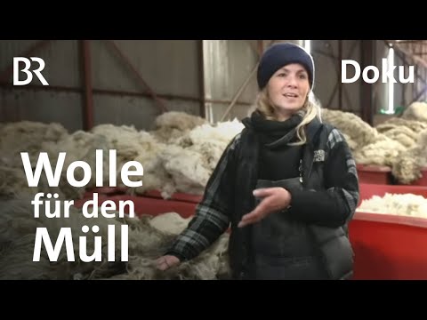 Schafwolle verarbeiten lohnt sich nicht mehr: Ein Rohstoff ohne Zukunft? | DokThema | Doku | BR