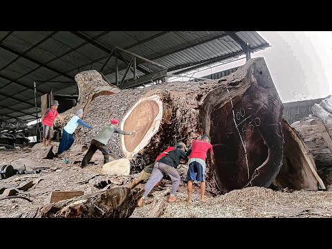 Koruptor pasti menangis lihat ini ! Wujud monster kayu trembesi senilai 650jt digergaji sawmill