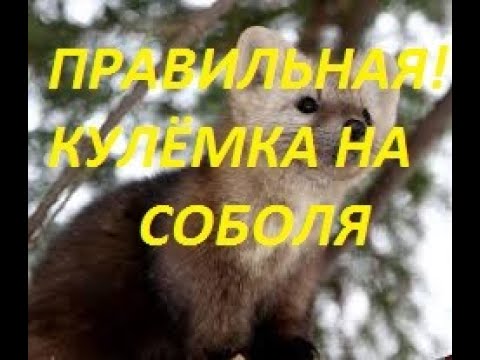 КУЛЁМКА НА СОБОЛЯ.Изготовление,обзор.