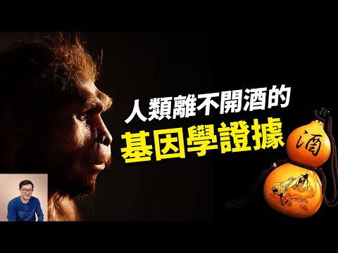 酒對生命體的影響超出你的想象！人類喝酒竟然是基因中註定的！【老肉雜談】