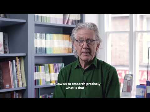 What’s Food for the Brain All About?