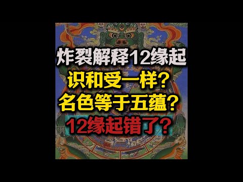 炸裂解释12缘起，12缘起是错的？原来识和受一样？名色等于五蕴？#12缘起#名色#佛法#无明