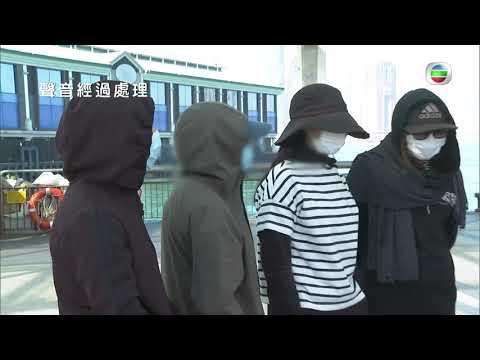 東張西望 | 加你入股票群組 |  呃晒你全副身家 | 股民 | 騙子