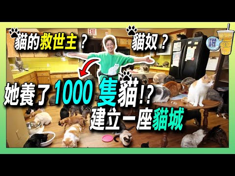 她養了1000隻貓，建立一座「貓城」! / 養一千隻貓要花多少錢? | 青茶說