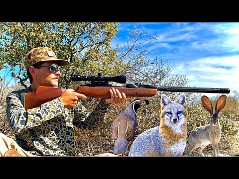 Break Barrel Pellet-gun Hunt & Cook