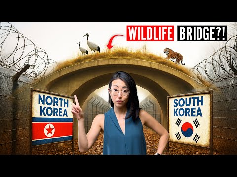 Why The Most Dangerous Border on Earth needs a Wildlife Bridge