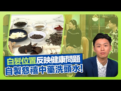 健康360 TVB｜白髮位置反映身體器官健康問題 彭明慧中醫談白頭髮成因｜育髮梳頭法、穴位按摩、食療｜自製慈禧太后中藥洗頭水｜流行都市 安德尊 黃嘉雯 焦浩軒