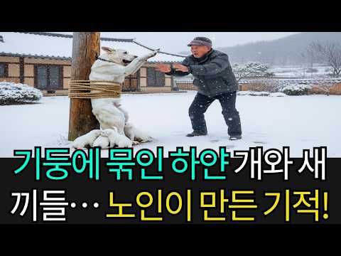 차가운 마당 기둥에 온몸이 묶인 엄마 하얀 개와 절규하는 새끼 셋… 생사의 순간, 가난한 이웃 노인이 기적을 일으켰다!