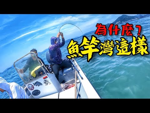 打龜心態去試位 最後竟然有意外收獲😱#香港釣魚 #艇釣 #fishing #筏釣り