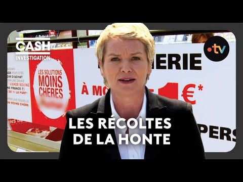 Les récoltes de la honte - Cash investigation