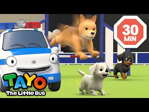 🎞️🐶 Tayo and Little Animal Friends Stories l Tayo S7 English Episodes | Tayo the Little Bus