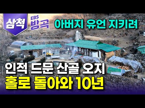 [강원 삼척] "어딜 가도 이 집은 팔지 마라" 아버지 말씀에 좋아하던 도시살이 포기하고 홀로 300년 된 오지 화전민 터 홀로 돌아와 10년｜미나리골｜#한국기행 #방방곡곡