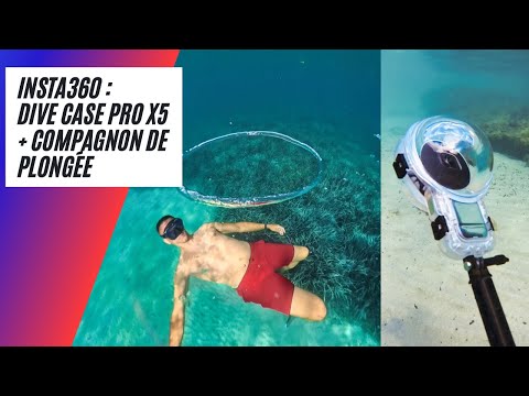 Insta360: Dive Case Pro X5 and Dive Buddy Test
