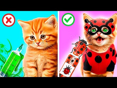 Леди Баг против Супер-кота! Леди Баг спасла беременную кошку!