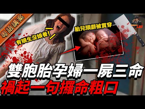 一句粗口，三条人命：孕婦身懷雙胞胎被狂捅十刀，腹中嬰兒亦遭刺穿…懸案十二年，終揭開奪命真相【真相捕手Leo】｜案件解說｜真實案件｜案件分享