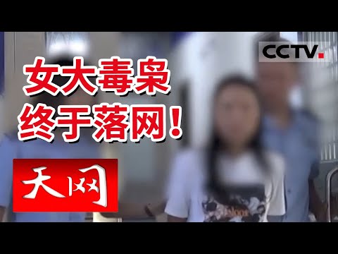 《天网》深恶痛疾！女毒枭背后操纵毒品跨国运输 涉世未深年轻人误入歧途运输毒品 自毁前程 | CCTV社会与法