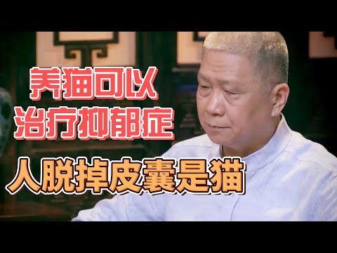 養貓真的能治療抑鬱症麽，人脫掉皮囊都是一隻貓！ #圓桌派#窦文涛#观复嘟嘟#马未都