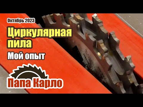 My tools: Circular saw | Workshop experience, accessories