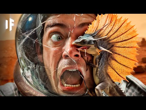 What If You Traveled to Gliese 12 b?