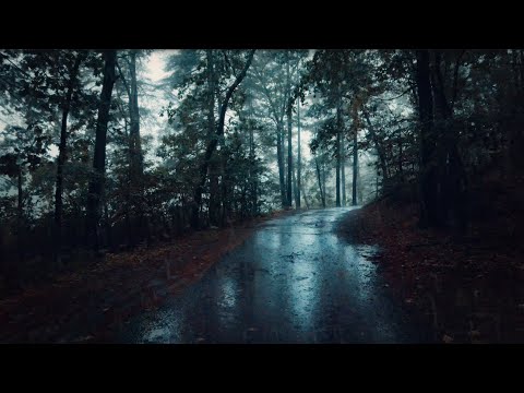 Nature Walk in Thunderstorm (4K) | Binaural Rain on Umbrella for Sleep & Study, ASMR
