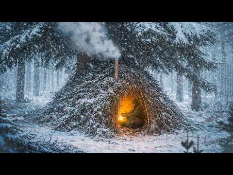 Bushcraft in a snowstorm. Building a warm and cozy shelter from branches under a spruce tree