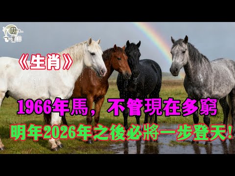 1966年馬：你天生就是『皇帝命』！不管現在多窮，明年2026年之後必將『一步登天』！#1966年屬馬 #屬馬運勢 #2026年生肖馬運勢 #財運 #偏財運 #皇帝命 #丙午年 #屬馬人