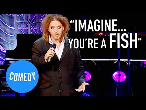 Tim Minchin | If You Open Your Mind Too Much Your Brain Will Fall Out (Take My Wife)
