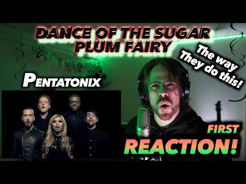 Pentatonix - Dance Of The Sugar Plum Fairy FIRST REACTION! (THE WAY THEY DO HIS!!) #ptxreaction