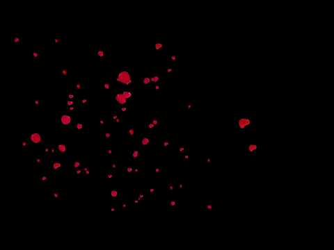 Falling Red Rose Petals Valentine's Day Black Background 4K (No Loops)