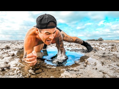 Catch And Cook, But I Try Not To Lose A Finger