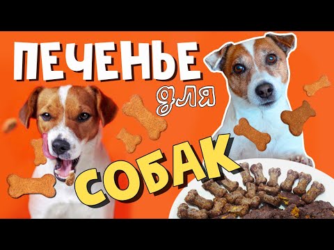 Готовим ПЕЧЕНЬЕ ДЛЯ СОБАК своими руками/Два рецепта вкусного мясного и печёночного печенья для собак
