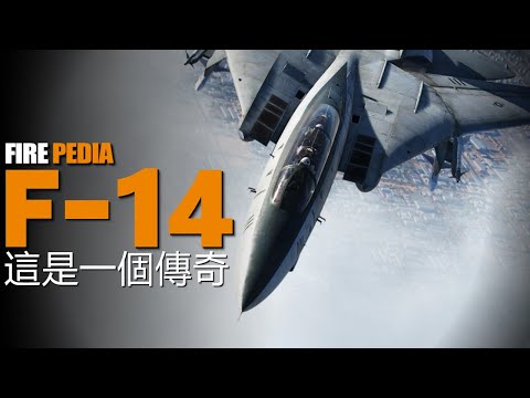 F-14 Tomcat, a legendary carrier based aircraft of the US military!