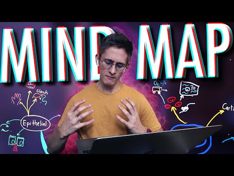 Mind mapping tutorial for students | Tips &amp; Software