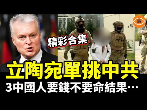 【精彩合集】立陶宛單挑中共，3中國人要錢不要命，結果……