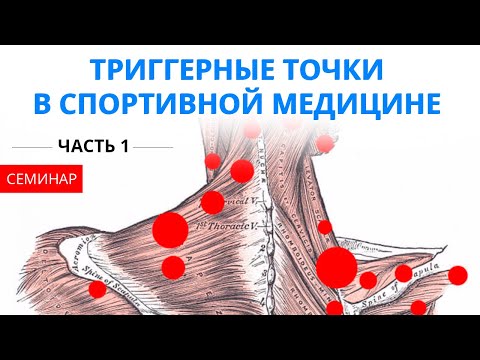 Триггерные точки в спортивной медицине и не только (Семинар от 12.05.2018 - ЧАСТЬ 1)