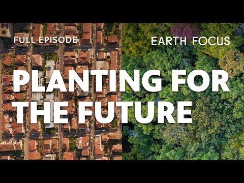Can Trees Really Improve our Neighborhoods? | Earth Focus | PBS SoCal
