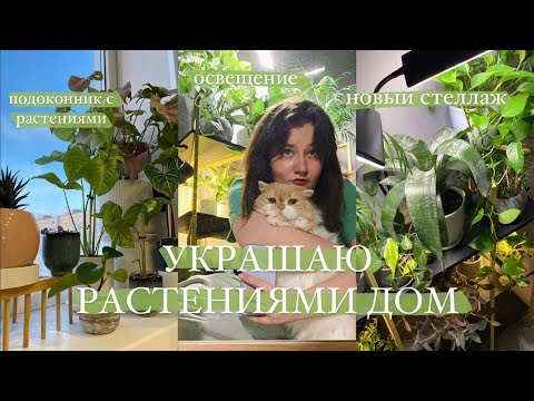 Размещаю растения в интерьере || новый стеллаж, освещение, полки для растений | обзор стеллажа
