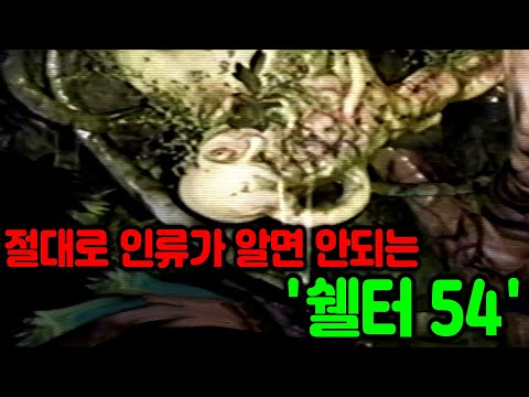 절대로 인류가 알면 안되는 "쉘터 54" 영상을 틀어봤는데... [Project Monster / 아날로그 호러 괴담 스토리 리뷰 요약]