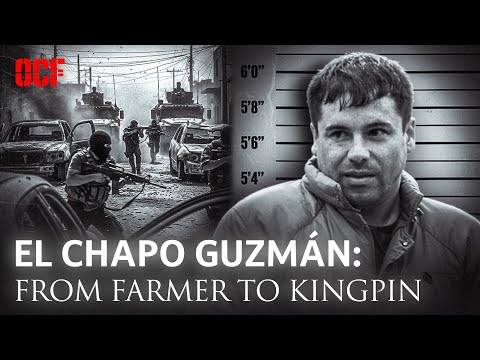 El Chapo: Inside the Sinaloa Cartel | Crime Documentary