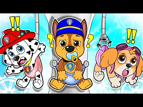 Paw Patrol Brewing Cute Baby Factory - Very Funny Life Story - Ultimate Rescue | Rainbow Friends 3