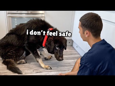 She's been Shut Down her Whole Life... Until Now