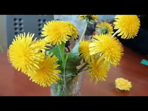 Мастер-класс по изготовлению Цветка «Одуванчика» из фоамирана