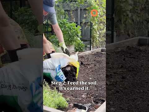 From Summer Chaos to a Fresh Fall Start #fallgardening #backyardgardener #growyourownfood