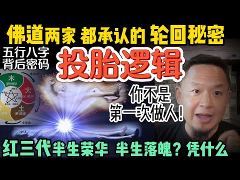 投胎是系统性的安排？谁是我先人？｜你的命运早已被“系统”编码？五行八字背后的秘密！｜看懂“累世因果”，你会沉默｜灵魂转世不是迷信 #八字  #命运 #玄学 #周易  #易理 #佛教  #命理 #五行