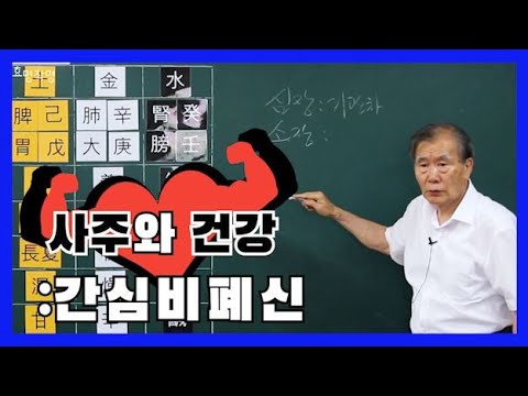 35강 사주와 건강1 : 간심비폐신
