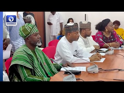 Ambassadorial Appointment Drama As Senate Clears Dambazau, Fani Kayode, Omokri, Others