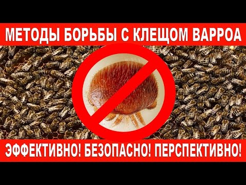 Varroa Mite Strips, DIY