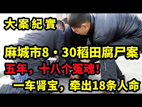 【大案纪实】麻城市8·30稻田腐尸案